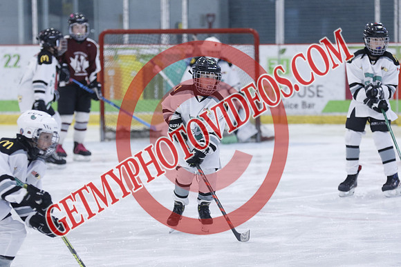 _63A8126_12 00 PM-U11-Honeywood Hurricanes VS Twin Centre Stars U11 LL2-Trisan Centre