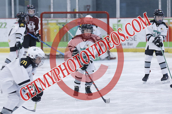 _63A8127_12 00 PM-U11-Honeywood Hurricanes VS Twin Centre Stars U11 LL2-Trisan Centre