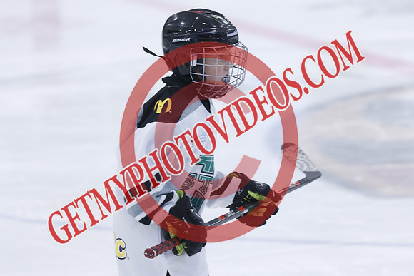 _63A8181_12 00 PM-U11-Honeywood Hurricanes VS Twin Centre Stars U11 LL2-Trisan Centre
