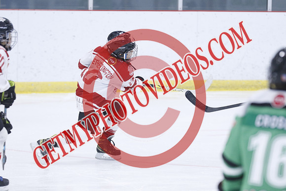 _63A1070_1 00 PM-U11Twin Centre Stars LL1VS Schomberg Red Wings-Trisan Centre
