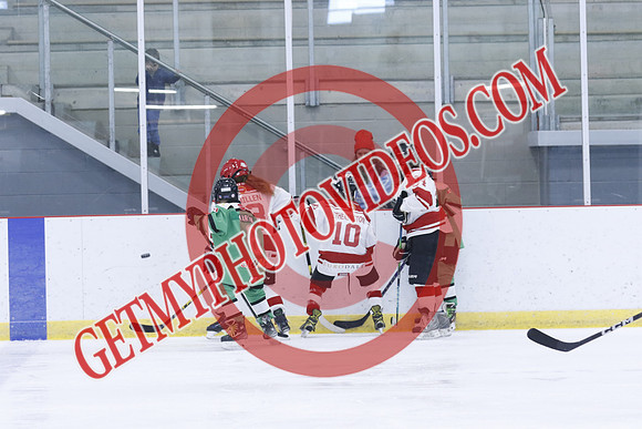 _63A1341_1 00 PM-U11Twin Centre Stars LL1VS Schomberg Red Wings-Trisan Centre