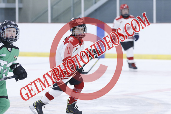 _63A1380_1 00 PM-U11Twin Centre Stars LL1VS Schomberg Red Wings-Trisan Centre