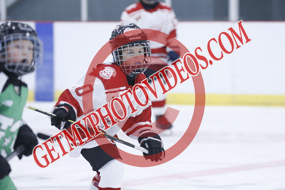 _63A1381_1 00 PM-U11Twin Centre Stars LL1VS Schomberg Red Wings-Trisan Centre