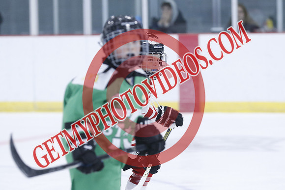 _63A1384_1 00 PM-U11Twin Centre Stars LL1VS Schomberg Red Wings-Trisan Centre