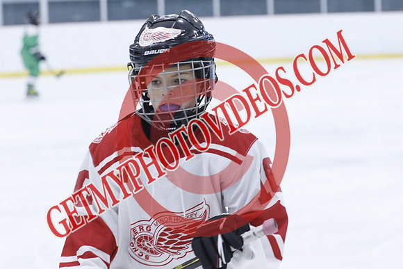 _63A1415_1 00 PM-U11Twin Centre Stars LL1VS Schomberg Red Wings-Trisan Centre