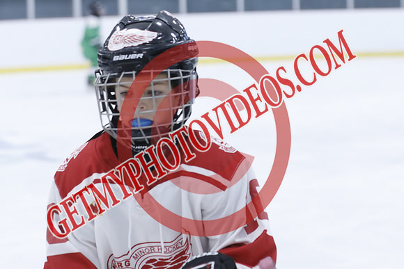 _63A1416_1 00 PM-U11Twin Centre Stars LL1VS Schomberg Red Wings-Trisan Centre