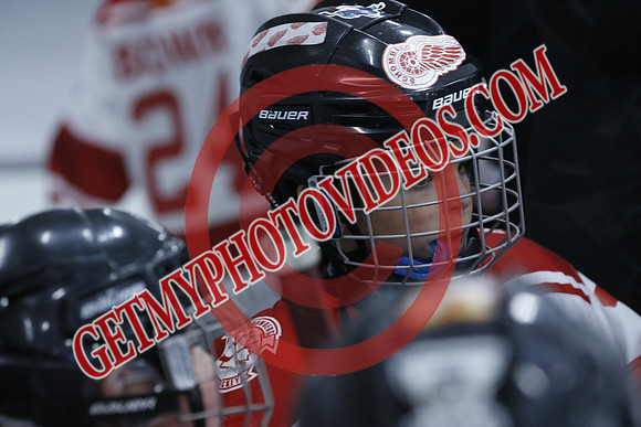 _63A1438_1 00 PM-U11Twin Centre Stars LL1VS Schomberg Red Wings-Trisan Centre