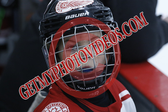 _63A1450_1 00 PM-U11Twin Centre Stars LL1VS Schomberg Red Wings-Trisan Centre