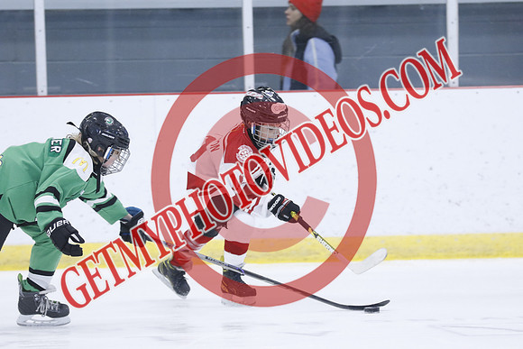 _63A1649_1 00 PM-U11Twin Centre Stars LL1VS Schomberg Red Wings-Trisan Centre
