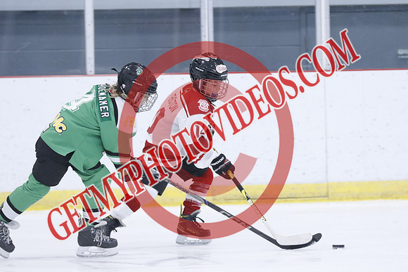 _63A1653_1 00 PM-U11Twin Centre Stars LL1VS Schomberg Red Wings-Trisan Centre
