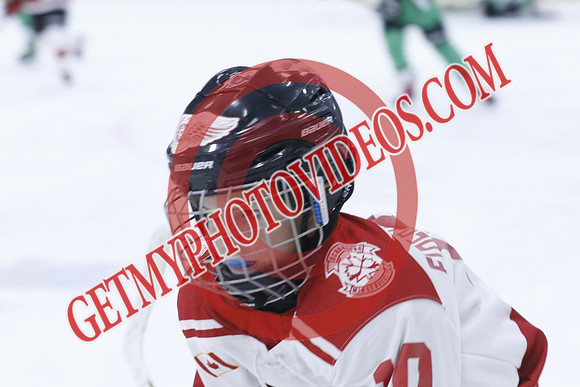 _63A1673_1 00 PM-U11Twin Centre Stars LL1VS Schomberg Red Wings-Trisan Centre