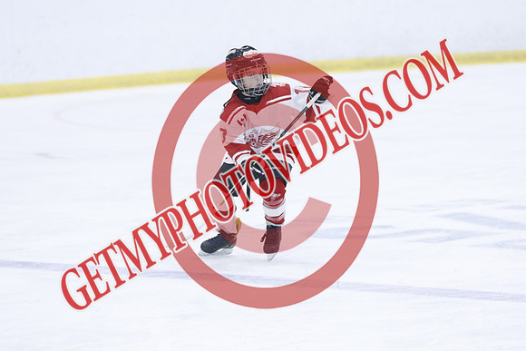 _63A1964_1 00 PM-U11Twin Centre Stars LL1VS Schomberg Red Wings-Trisan Centre