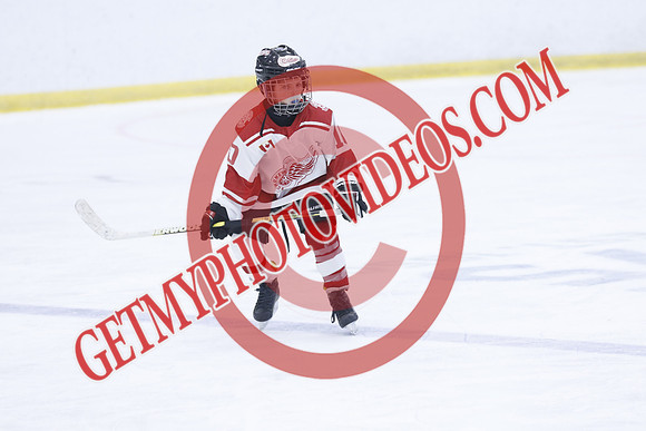 _63A1966_1 00 PM-U11Twin Centre Stars LL1VS Schomberg Red Wings-Trisan Centre