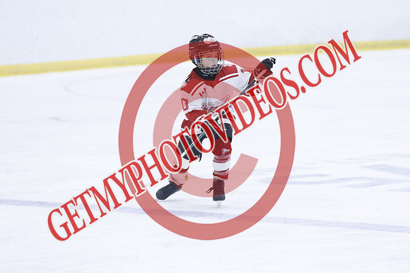 _63A1965_1 00 PM-U11Twin Centre Stars LL1VS Schomberg Red Wings-Trisan Centre