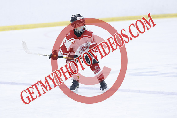 _63A1967_1 00 PM-U11Twin Centre Stars LL1VS Schomberg Red Wings-Trisan Centre