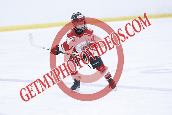 _63A1968_1 00 PM-U11Twin Centre Stars LL1VS Schomberg Red Wings-Trisan Centre