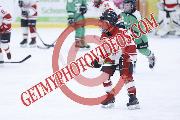 _63A2013_1 00 PM-U11Twin Centre Stars LL1VS Schomberg Red Wings-Trisan Centre