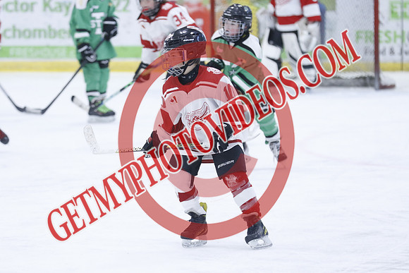 _63A2011_1 00 PM-U11Twin Centre Stars LL1VS Schomberg Red Wings-Trisan Centre