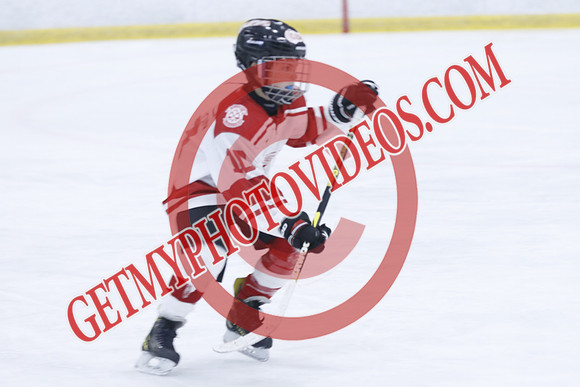 _63A2063_1 00 PM-U11Twin Centre Stars LL1VS Schomberg Red Wings-Trisan Centre