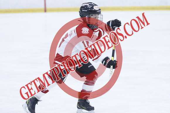 _63A2065_1 00 PM-U11Twin Centre Stars LL1VS Schomberg Red Wings-Trisan Centre