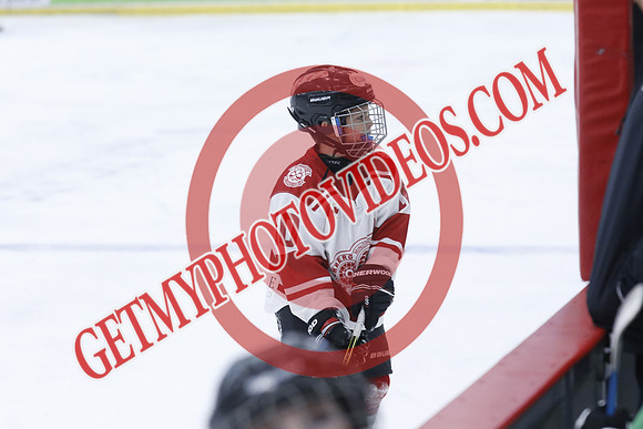 _63A2106_1 00 PM-U11Twin Centre Stars LL1VS Schomberg Red Wings-Trisan Centre