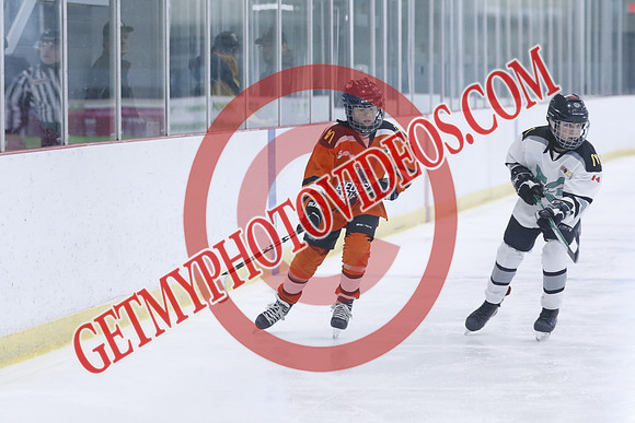 20251213-1116_10 00 AM-U11-Twin Centre Stars U11 LL2 VS Georgina Blaze-Trisan Centre