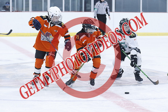 20251213-1232_10 00 AM-U11-Twin Centre Stars U11 LL2 VS Georgina Blaze-Trisan Centre