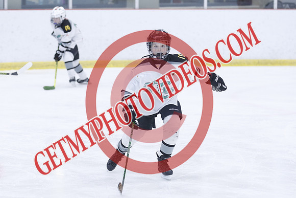 20251213-1324_10 00 AM-U11-Twin Centre Stars U11 LL2 VS Georgina Blaze-Trisan Centre