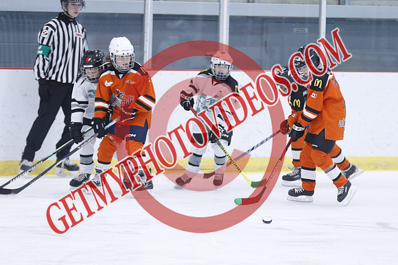 20251213-1395_10 00 AM-U11-Twin Centre Stars U11 LL2 VS Georgina Blaze-Trisan Centre