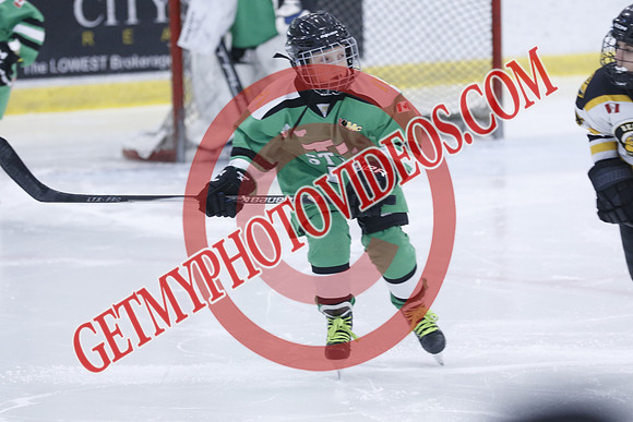 20251213-3590_11 00 AM-U11-Twin Centre Stars LL1 VS Beeton Stingers-Trisan Centre