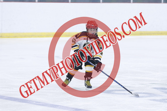20251213-3612_11 00 AM-U11-Twin Centre Stars LL1 VS Beeton Stingers-Trisan Centre