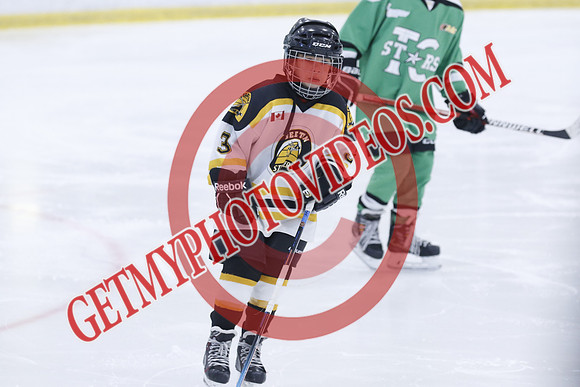 20251213-3646_11 00 AM-U11-Twin Centre Stars LL1 VS Beeton Stingers-Trisan Centre