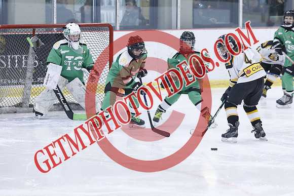 20251213-3622_11 00 AM-U11-Twin Centre Stars LL1 VS Beeton Stingers-Trisan Centre