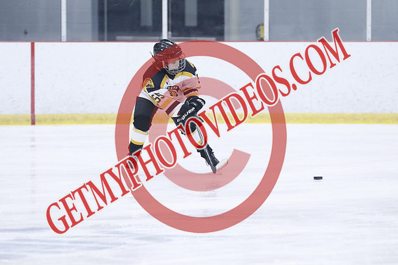 20251213-3720_11 00 AM-U11-Twin Centre Stars LL1 VS Beeton Stingers-Trisan Centre
