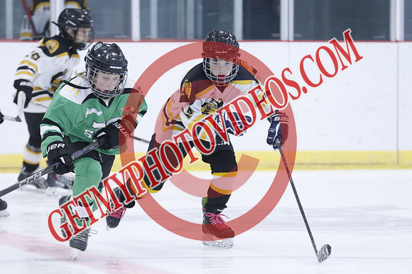 20251213-3782_11 00 AM-U11-Twin Centre Stars LL1 VS Beeton Stingers-Trisan Centre