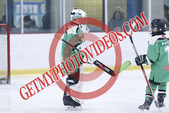 20251213-3853_11 00 AM-U11-Twin Centre Stars LL1 VS Beeton Stingers-Trisan Centre