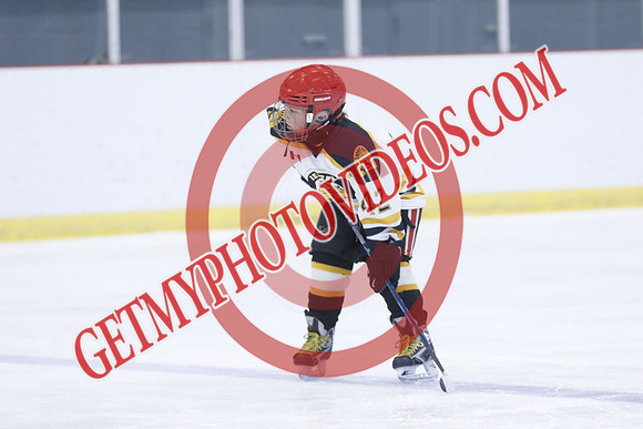 20251213-3859_11 00 AM-U11-Twin Centre Stars LL1 VS Beeton Stingers-Trisan Centre