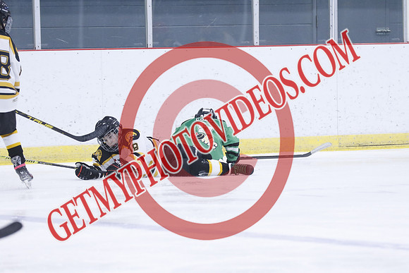 20251213-3908_11 00 AM-U11-Twin Centre Stars LL1 VS Beeton Stingers-Trisan Centre