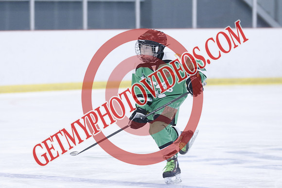 20251213-3915_11 00 AM-U11-Twin Centre Stars LL1 VS Beeton Stingers-Trisan Centre