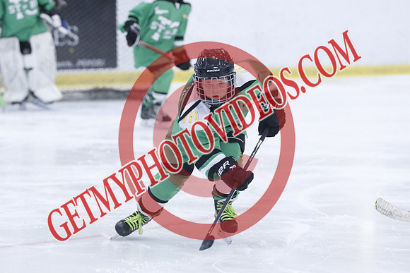 20251213-3986_11 00 AM-U11-Twin Centre Stars LL1 VS Beeton Stingers-Trisan Centre