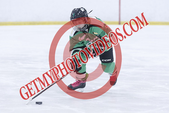 20251213-4028_11 00 AM-U11-Twin Centre Stars LL1 VS Beeton Stingers-Trisan Centre