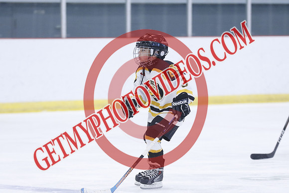 20251213-4255_11 00 AM-U11-Twin Centre Stars LL1 VS Beeton Stingers-Trisan Centre