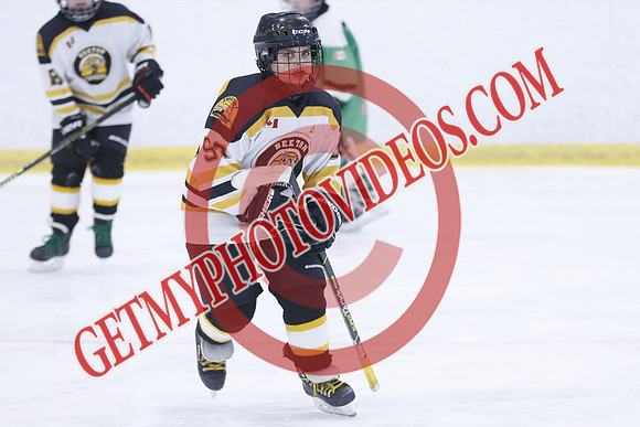 20251213-4579_11 00 AM-U11-Twin Centre Stars LL1 VS Beeton Stingers-Trisan Centre