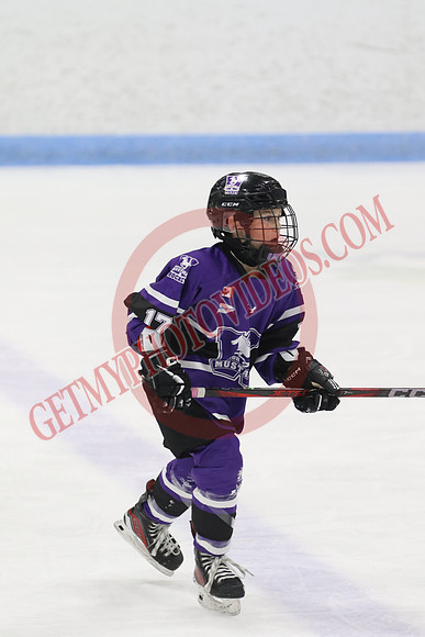 20240531-7919_12 20 pm - U12 A - Talbot Trail Blazers vs London Jr Mustangs White - MEM