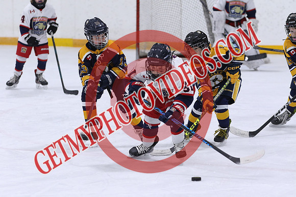 7Z7A6116_10 25 AM-U10 A-Lasalle SABRES VS Mount Brydges COUGARS-Erickson Arena