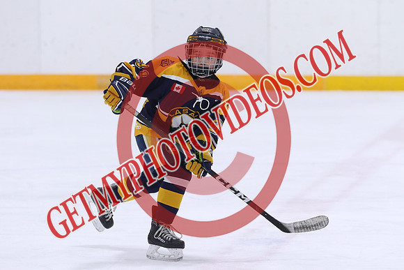 7Z7A6290_10 25 AM-U10 A-Lasalle SABRES VS Mount Brydges COUGARS-Erickson Arena