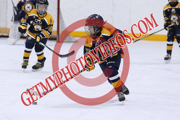 7Z7A7197_10 25 AM-U10 A-Lasalle SABRES VS Mount Brydges COUGARS-Erickson Arena