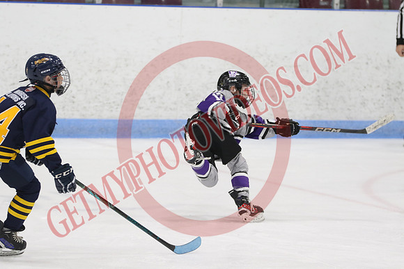 20240601-51610_1 25 pm – U12 A – Erie North Shore Storm vs London Jr Mustangs White – Memorial