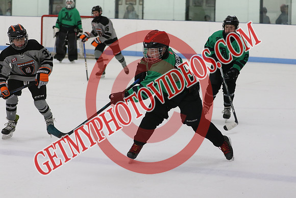 1C2A1091_11 00 am - U13SL - Napanee Stars vs North Durham Warriors