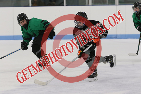 1C2A9642_11 00 am - U13SL - Napanee Stars vs North Durham Warriors